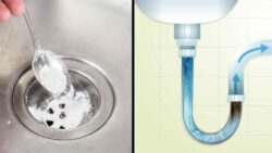 Easy Ways to Unclog Drains Naturally
